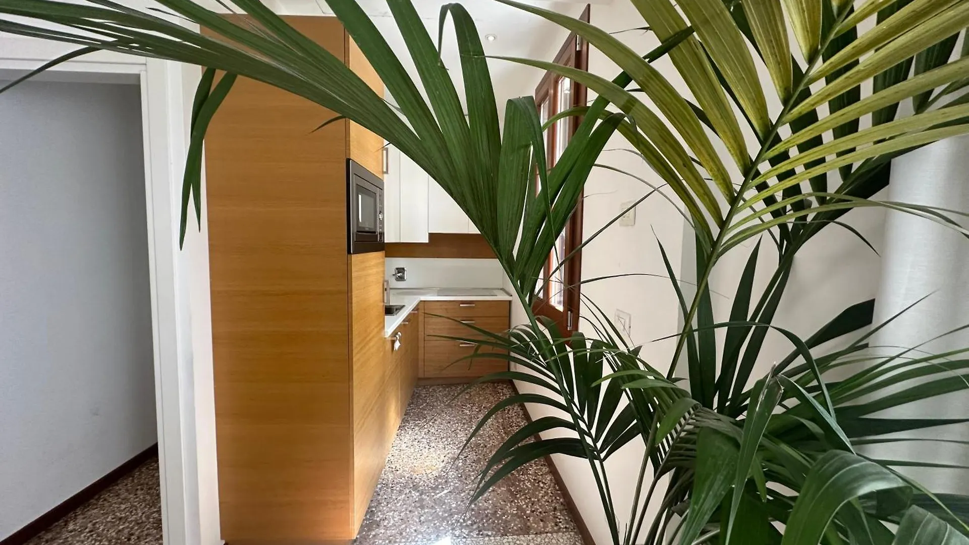 Ca' D'Oro Suite Apartment Venice